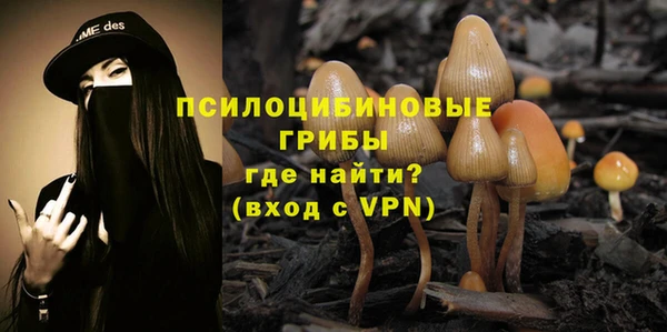 PSILOCYBIN Богданович